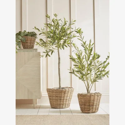 Cox and Cox Three Round Rattan Planters