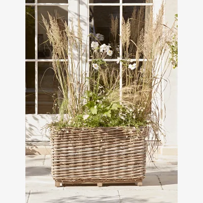 Cox and Cox Rattan Planter