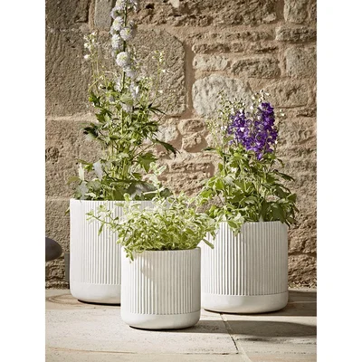 Cox and Cox Three Striped Concrete Planters - Light Grey