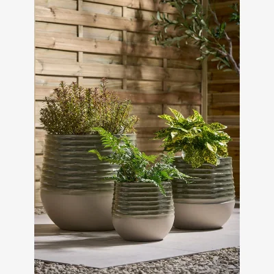 Cox and Cox Three Sage Ombre Planters