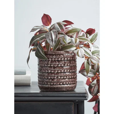 Cox and Cox NEW Dotty Ceramic Planter