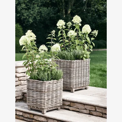 Cox and Cox Two Square Rattan Planters