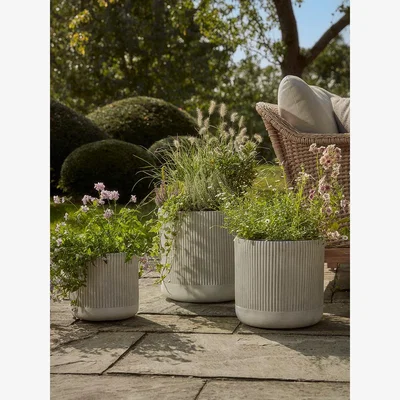 Cox and Cox Three Ribbed Planters