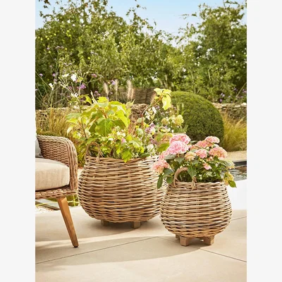 Cox and Cox Two Indoor Outdoor Tapered Rattan Planters
