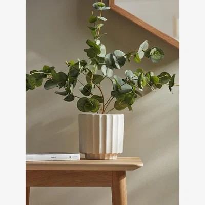 Cox and Cox Speckled Fluted Planter
