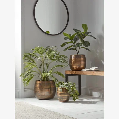 Cox and Cox Three Brushed Iron Planters