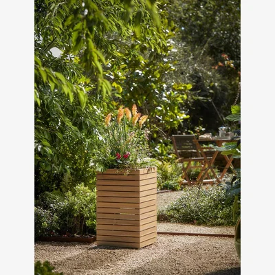Cox and Cox Salva Column Planter - Small