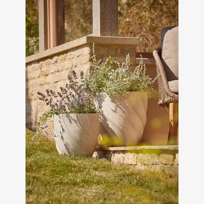 Cox and Cox Two Cream Spiral Planters - Large