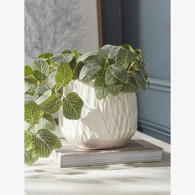Cox and Cox Textured Leaf Planter