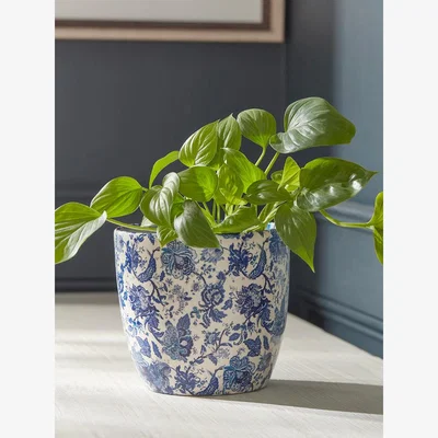 Cox and Cox Blue & White Floral Planter