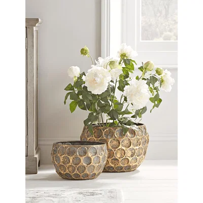 Cox and Cox NEW Two Gilded Planters
