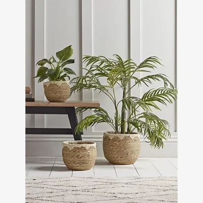 Cox and Cox Three Two Tone Natural Planters