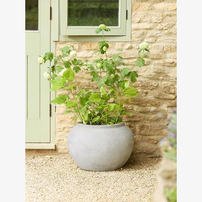 Cox and Cox Yana Planter
