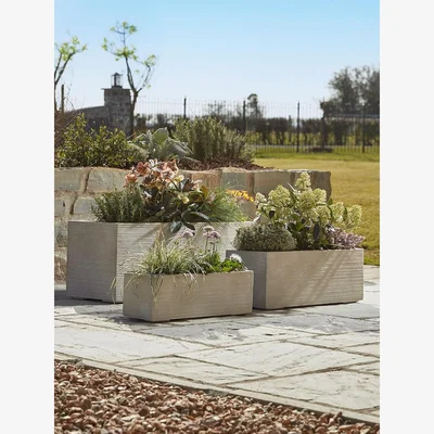 Cox and Cox Three Portland Planters