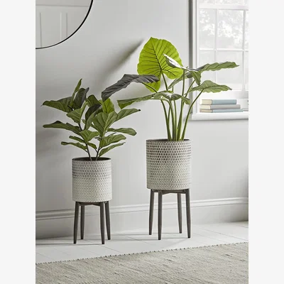 Cox and Cox Ombre Whitewashed Standing Planter