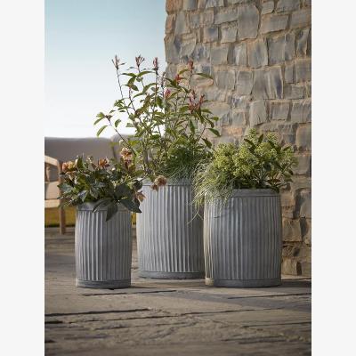 Cox and Cox Three Fluted Zinc planters- Round