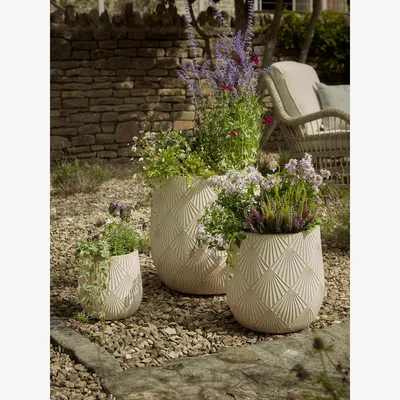 Cox and Cox Three Deco Planters