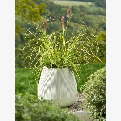 Cox and Cox Stonebloom Grooved Planter - Clay