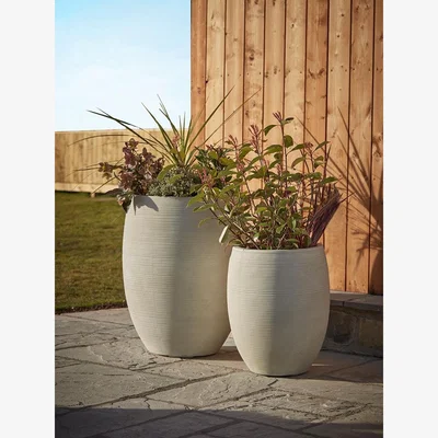 Cox and Cox Two Panama Planters