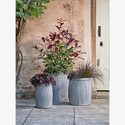 Cox and Cox Three Fluted Zinc Planters - Round