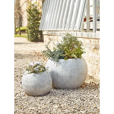 Cox and Cox NEW Two Round Embossed Planters