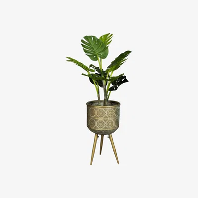 Cuckooland Dutchbone Botanique Plant Stand - Medium