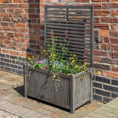 Cuckooland Rowlinson Alderley Rectangular Planter & Trellis