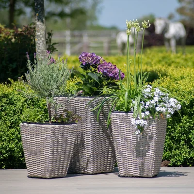 Cuckooland Maze Rattan Cotswold Triple Garden Planter Set