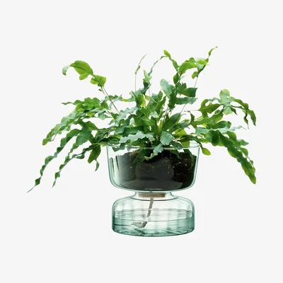 Cuckooland LSA Canopy Self Watering Planter