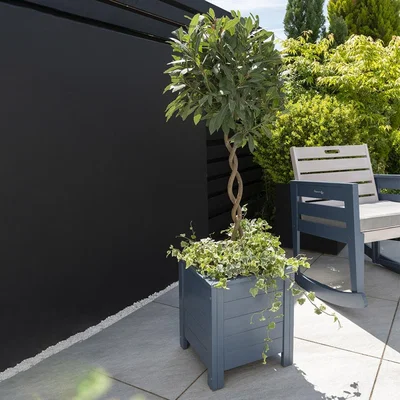 Cuckooland Galaxy Square Planter