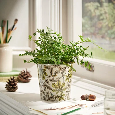 Dunelm Woodland Small Plant Pot Cream/Green