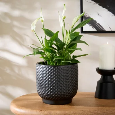 Dunelm Textured Detail Ceramic Plant Pot