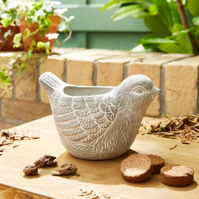 Dunelm Taylor's Bulbs Stone Robin Planter and Ane Kit Grey