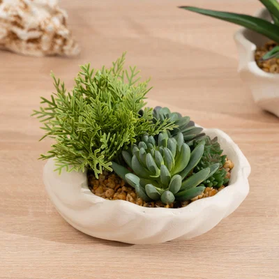 Dunelm Artificial Succulent Garden in Shell Plant Pot