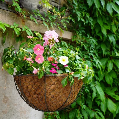 Dunelm Netted Wire Outdoor Hanging Basket Zinc