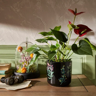 Dunelm Large Black Moorland Plant Pot Black