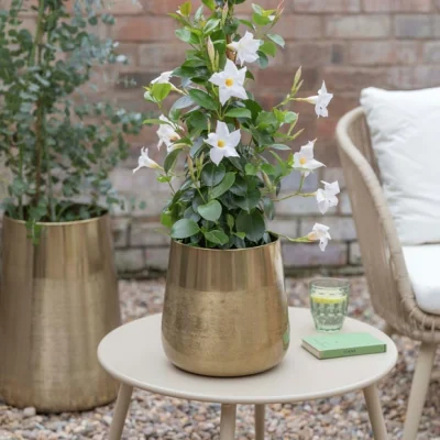 Dunelm Ivyline Set of 2 Outdoor Prescot Planters Brass