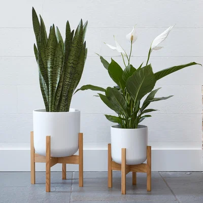 Dunelm Lisbon Plant Pot White