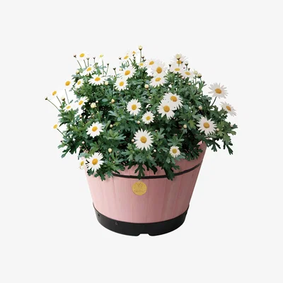 Dunelm VegTrug Medium Build a Barrel Kit Pink