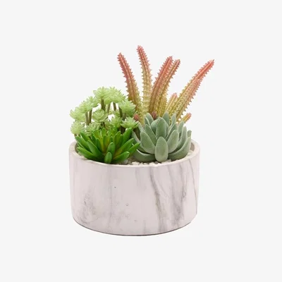 Dunelm Country Living Artificial Mixed Succulents in Marble Effect Plant Pot
