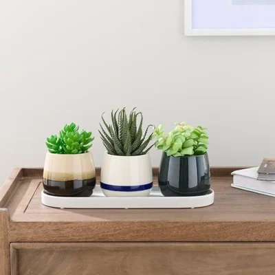 Dunelm Set of 3 Artificial Succulents in Ceramic Plant Pots with Tray