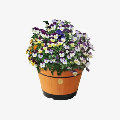 Dunelm VegTrug Medium Build a Barrel Kit Peach