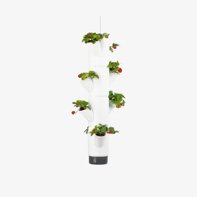 Dunelm Gusta Garden Sissi Strawberry Hanging 4 Level Strawberry Tree Planter
