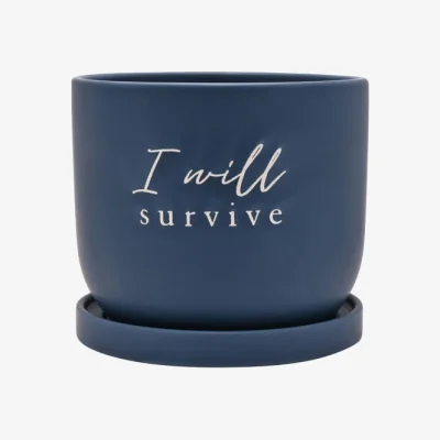 Dunelm Country Living I Will Survive Ceramic Plant Pot