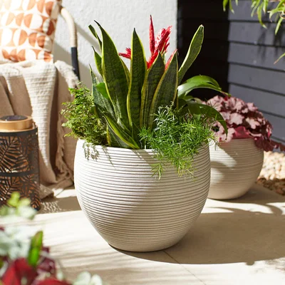 Dunelm Fibre Clay Plant Pot with Bamboo Finish Large Natural