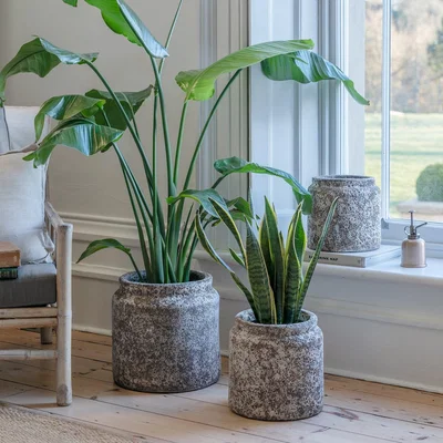Dunelm Kew Volcanic Texured Plant Pot Grey