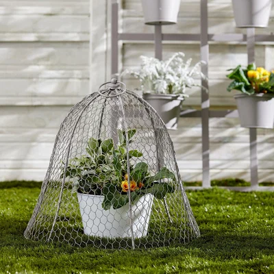Dunelm Grey Plant Cloche Grey