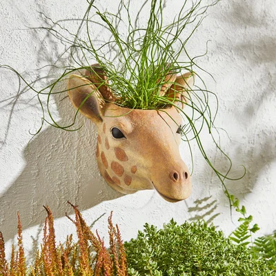 Dunelm Giraffe Wall Planter Beige