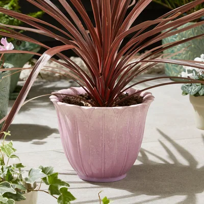 Dunelm Pink Resin Lotus Flower Plant Pot
