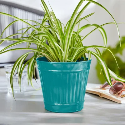 Dunelm Small Metal Plant Pot Aqua